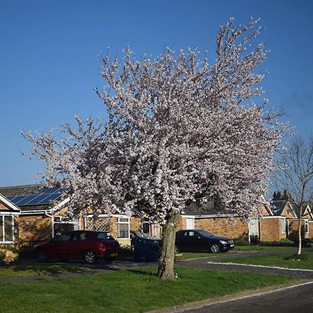 Wings Bed & Breakfast Oakham Dış mekan fotoğraf