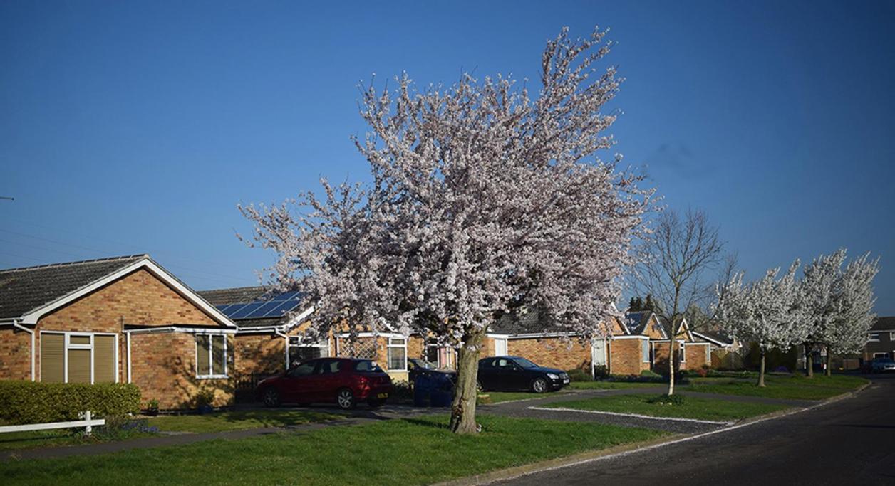 Wings Bed & Breakfast Oakham Dış mekan fotoğraf